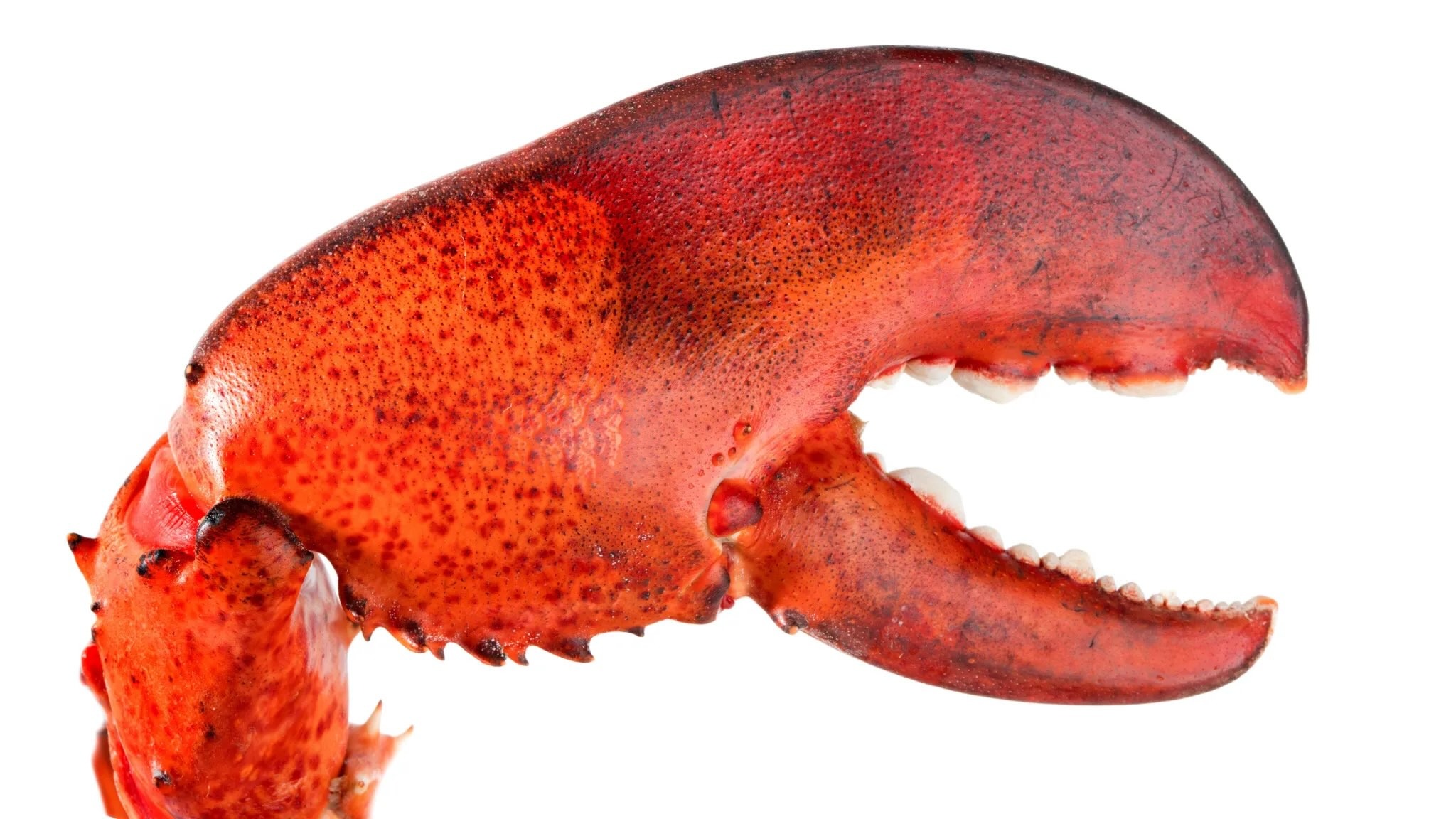 The Hidden Risk of Always-On Agents