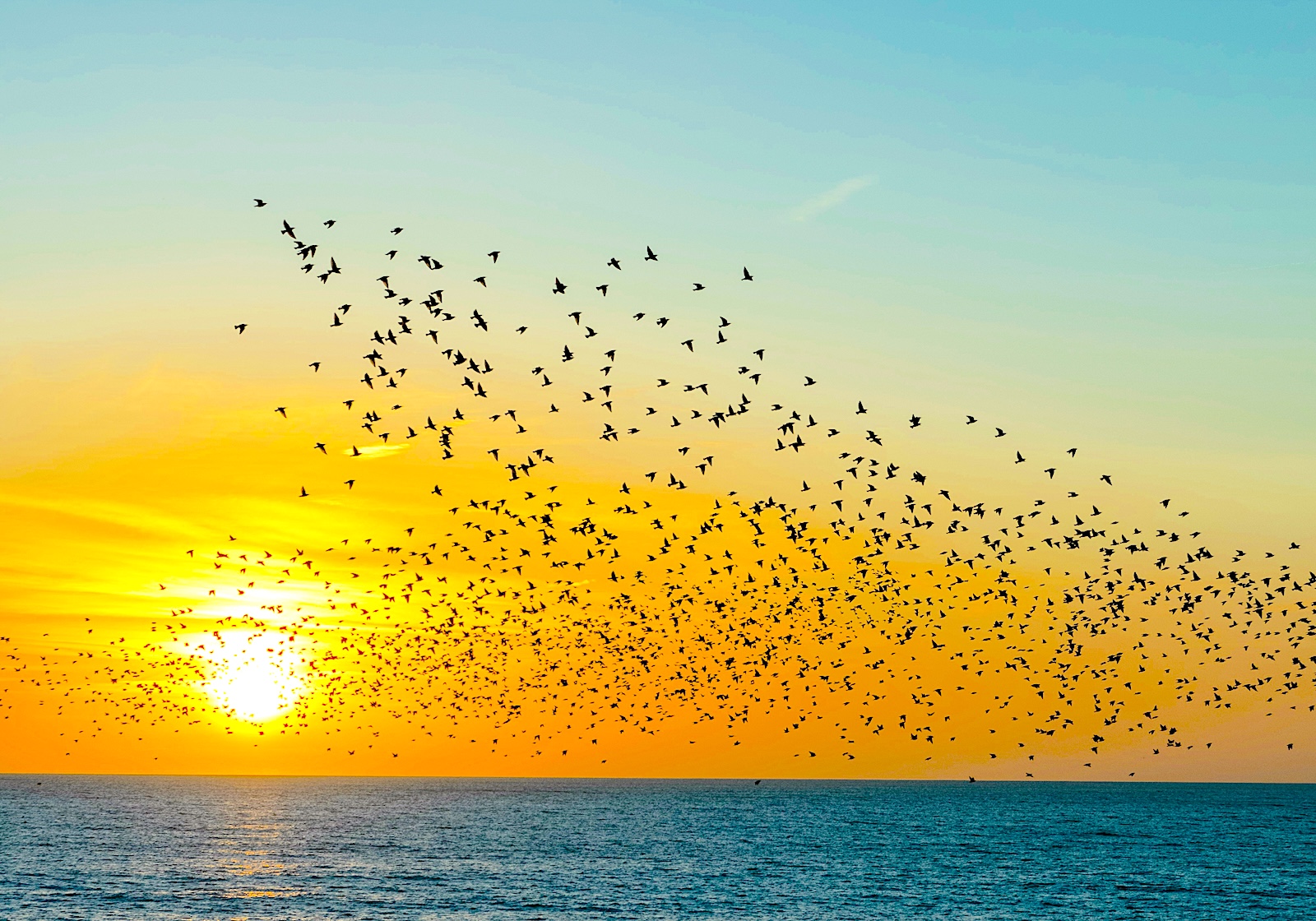 The Codeless Illusion