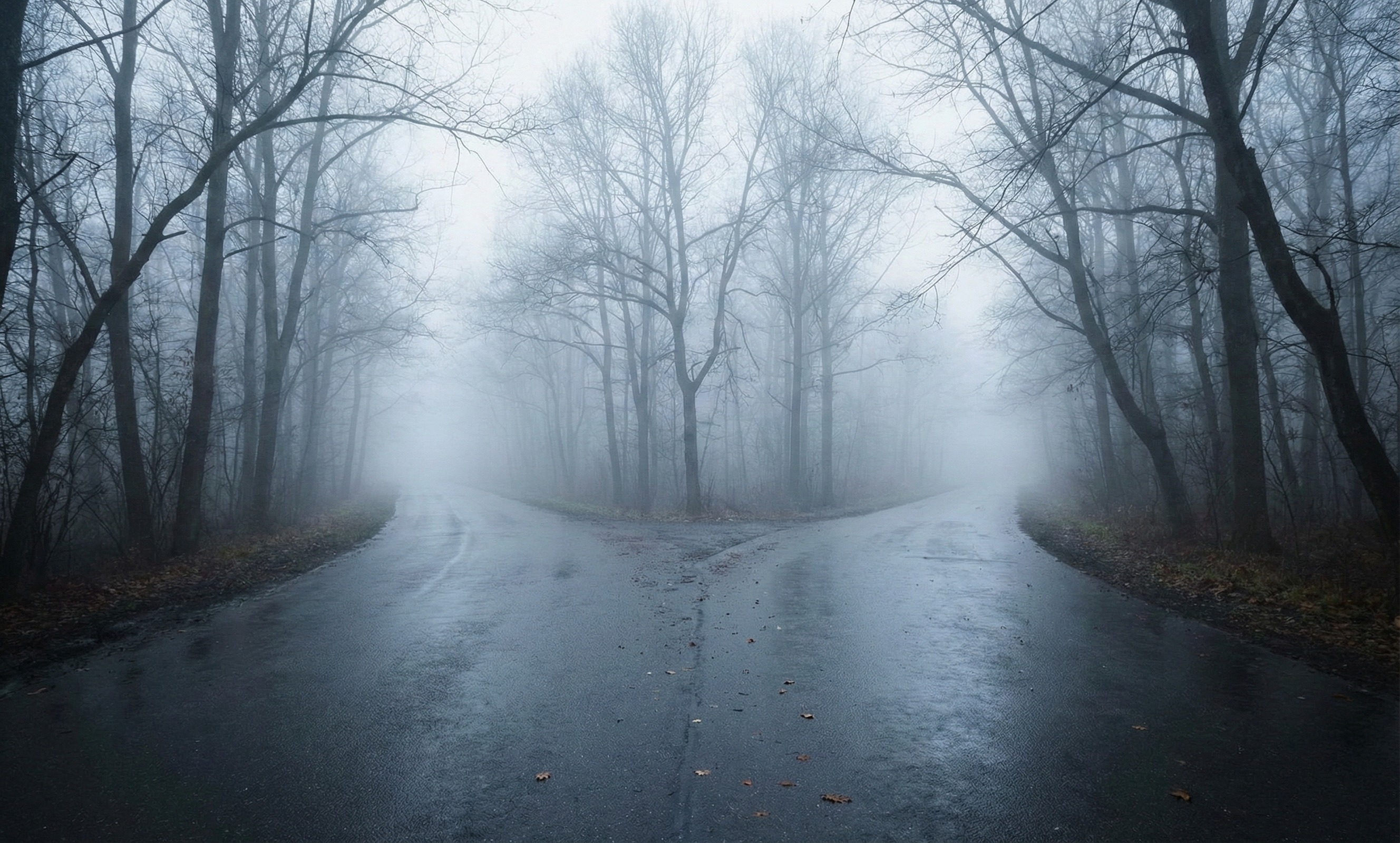 Software's First Act Is Over